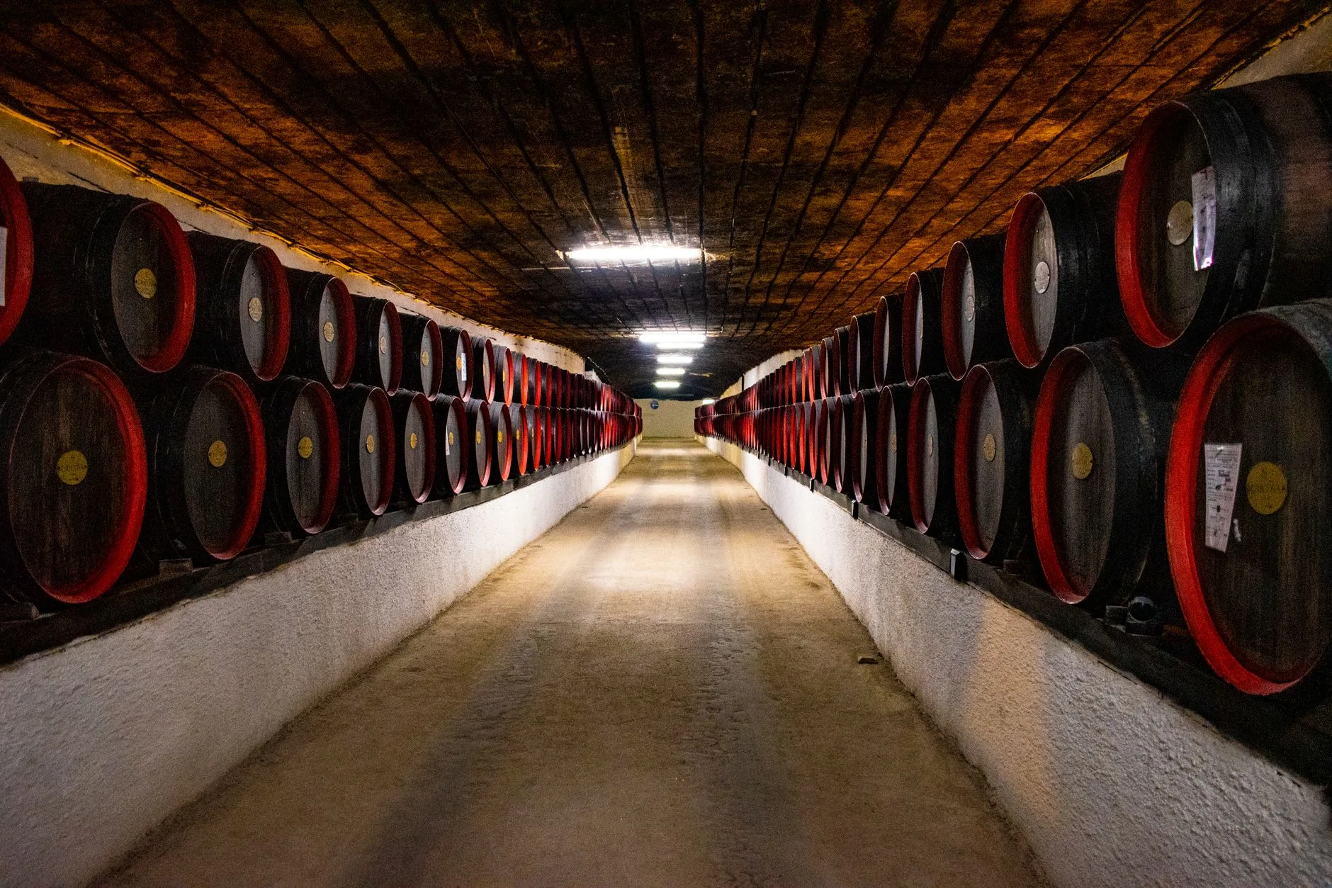 Ribera del Duero: bodegas visitables entre Aranda y Peñafiel