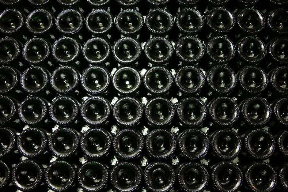 Ruta del cava en el Penedès: bodegas cerca de Barcelona