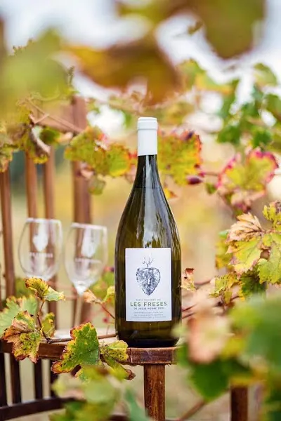 Vinostrum