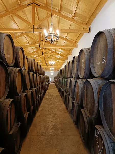Destilerías Bernal, S.L. - Bodega en Murcia - foto 2