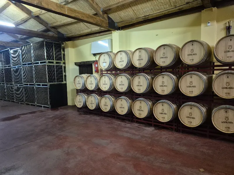 Gran Cava Santos - Bodega en Valladolid - foto 2