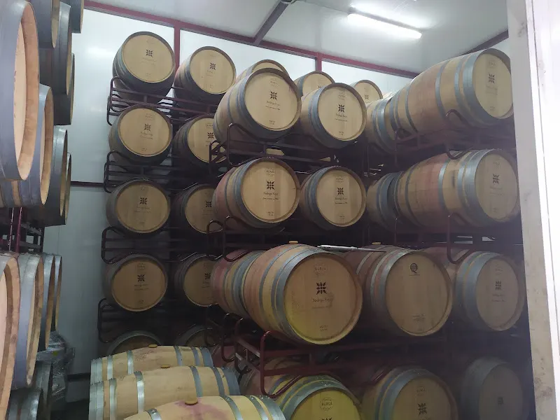 Bodega Rejo en Gijón - foto 2