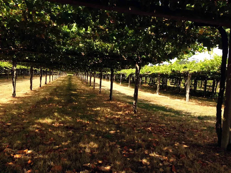Mar de Envero, Sl - Bodega en Santiago de Compostela - foto 2