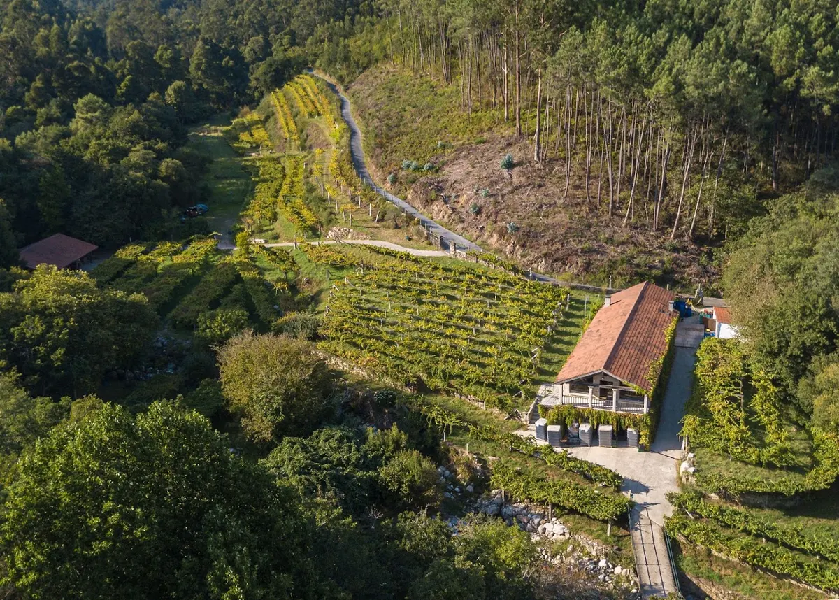 Bodega Entre Os Ríos - Bodega en Boiro