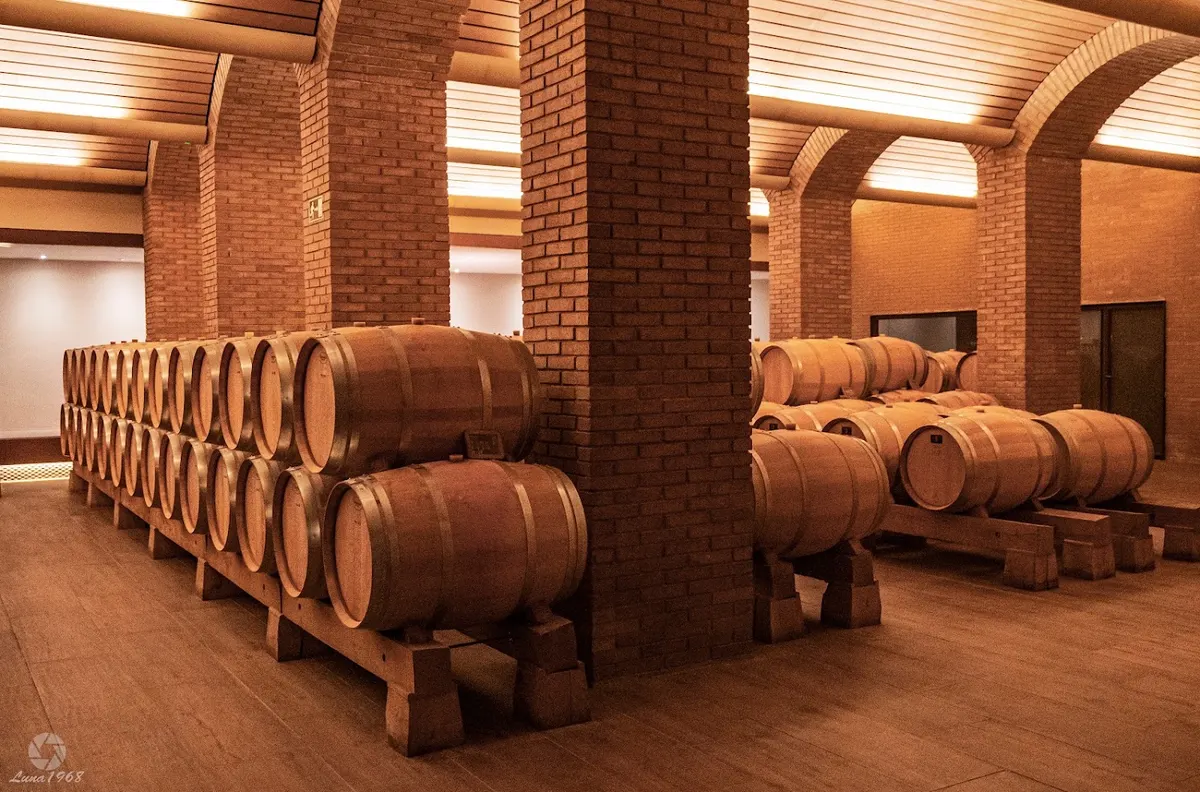 Bodegas Izadi