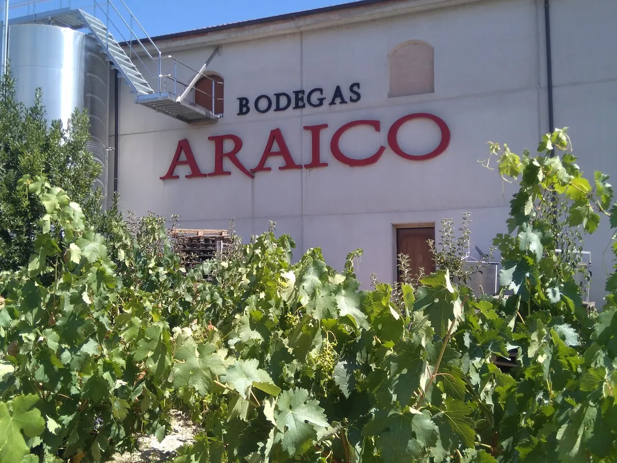 Bodegas araico