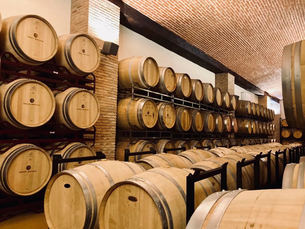 Bodegas Benetakoa - Rioja Alavesa