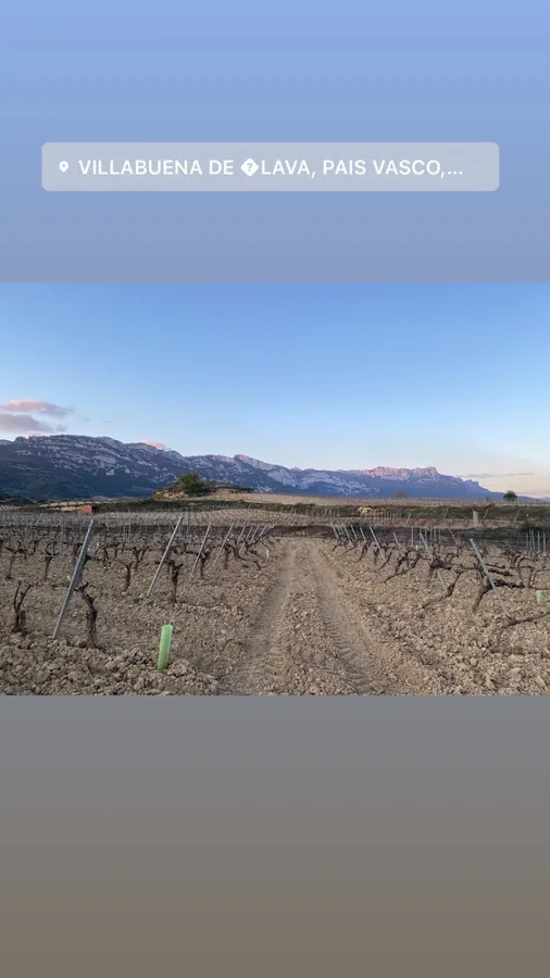 Bodegas Javier Besa