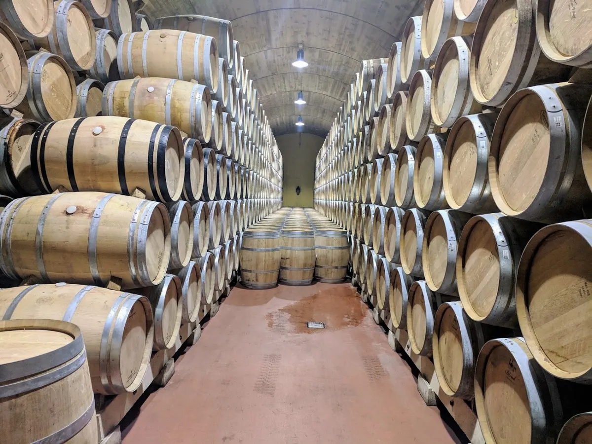 Bodegas Luis Cañas