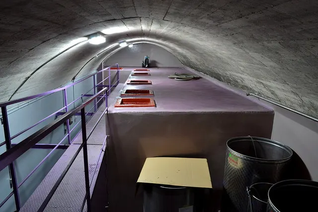 El Mozo Wines