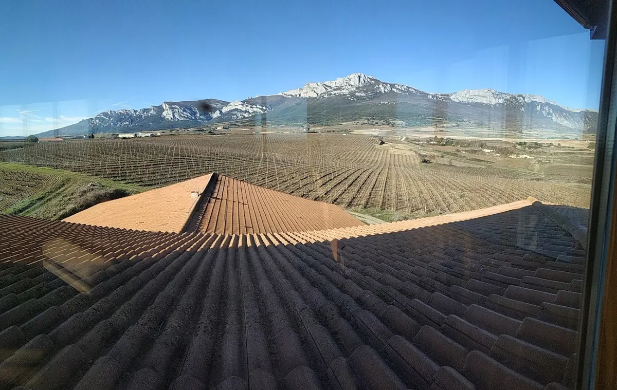Bodegas y Viñedos Pujanza