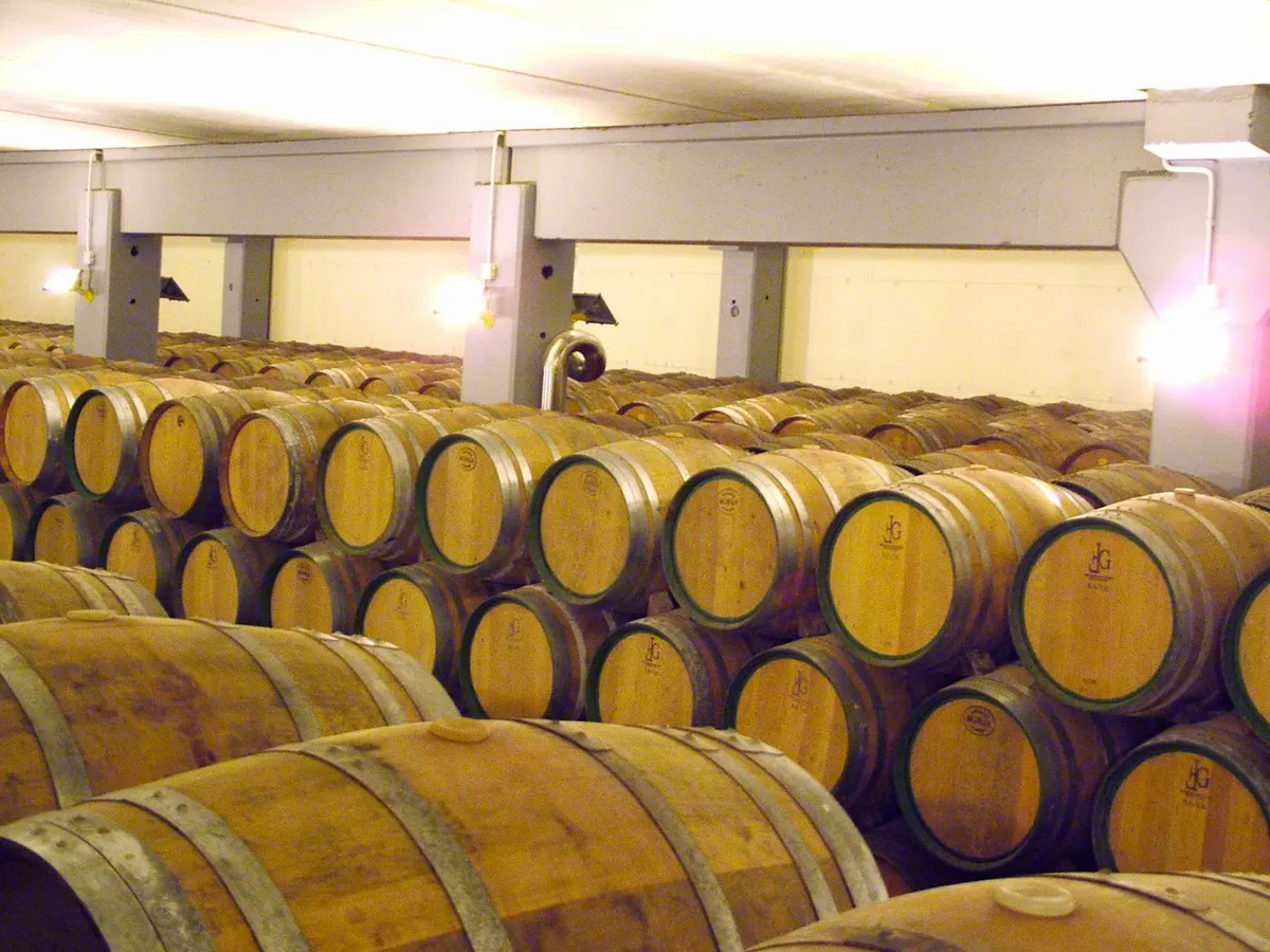 Cota 585 (Bodega San Roque S. Coop)