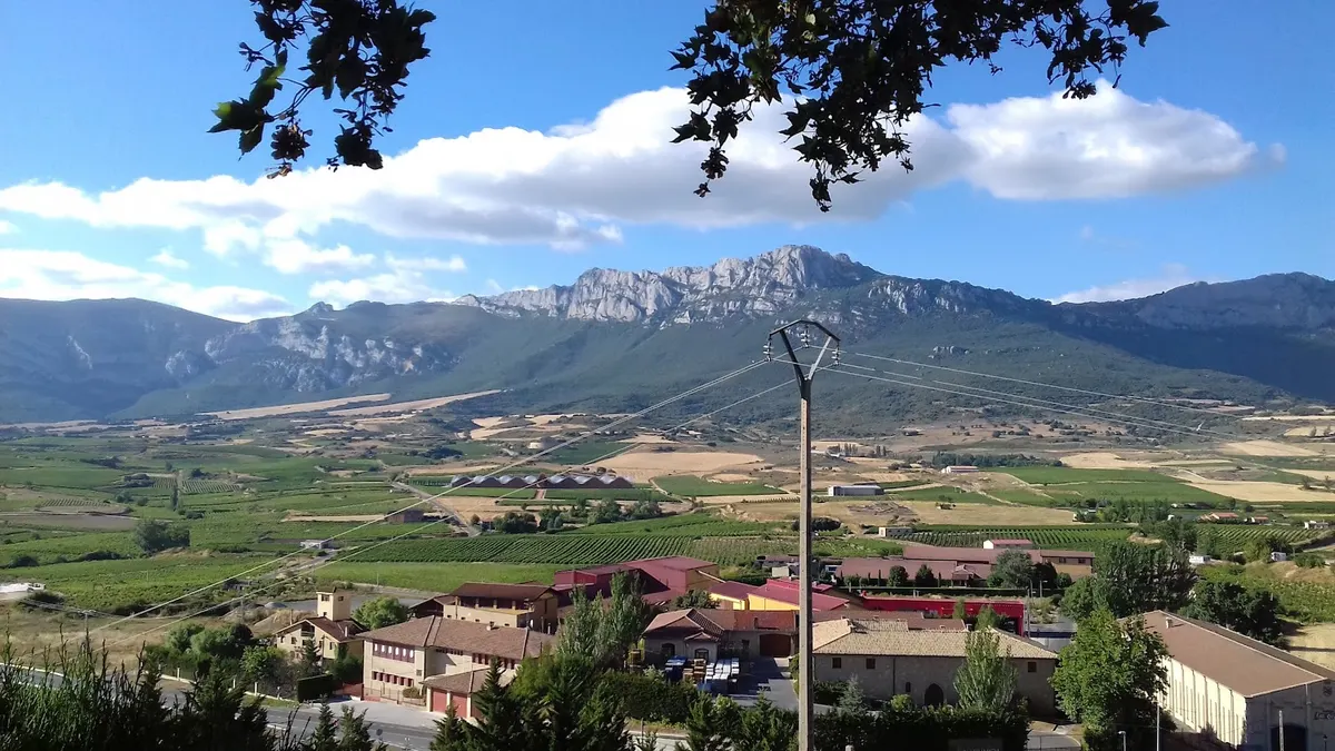 Bodegas Vallobera