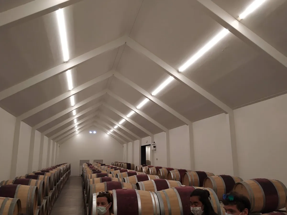 Bodegas y Viñedos Artadi