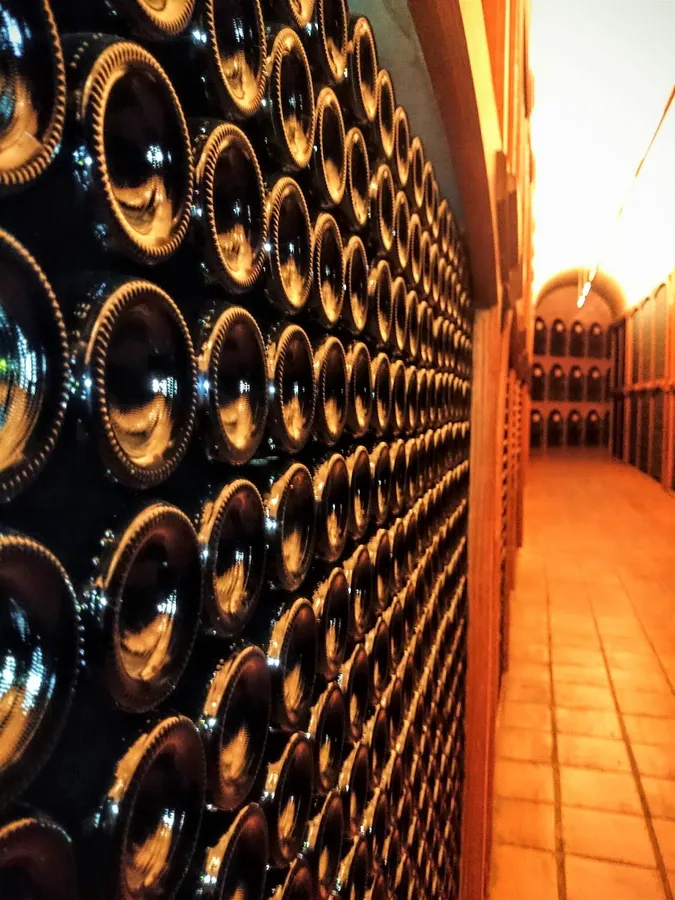 Bodegas Campillo - Laguardia