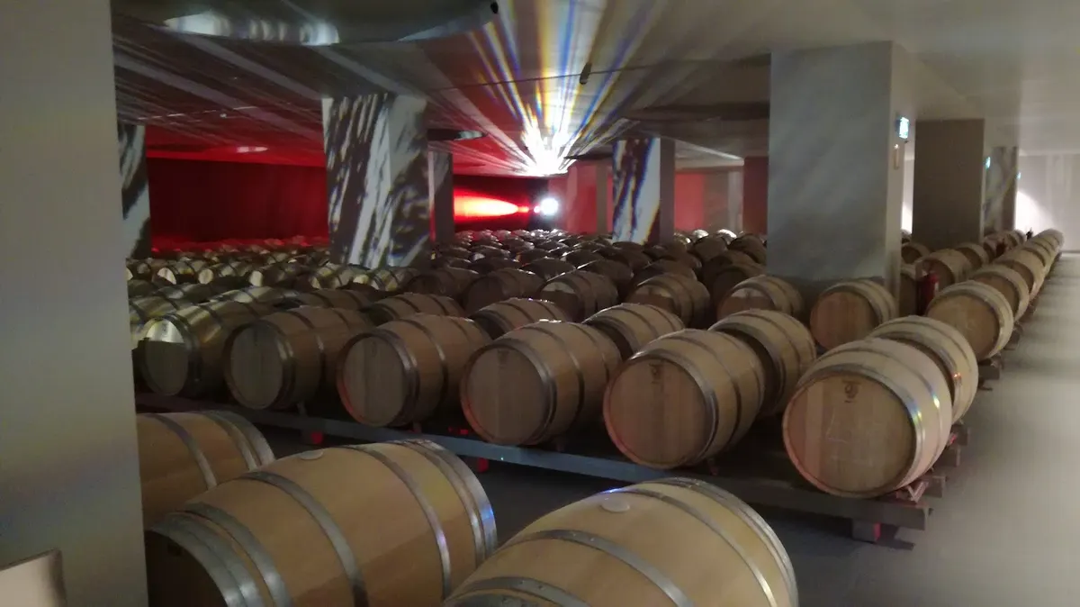 Bodegas Benjamin de Rothschild & Vega Sicilia (MACÁN)