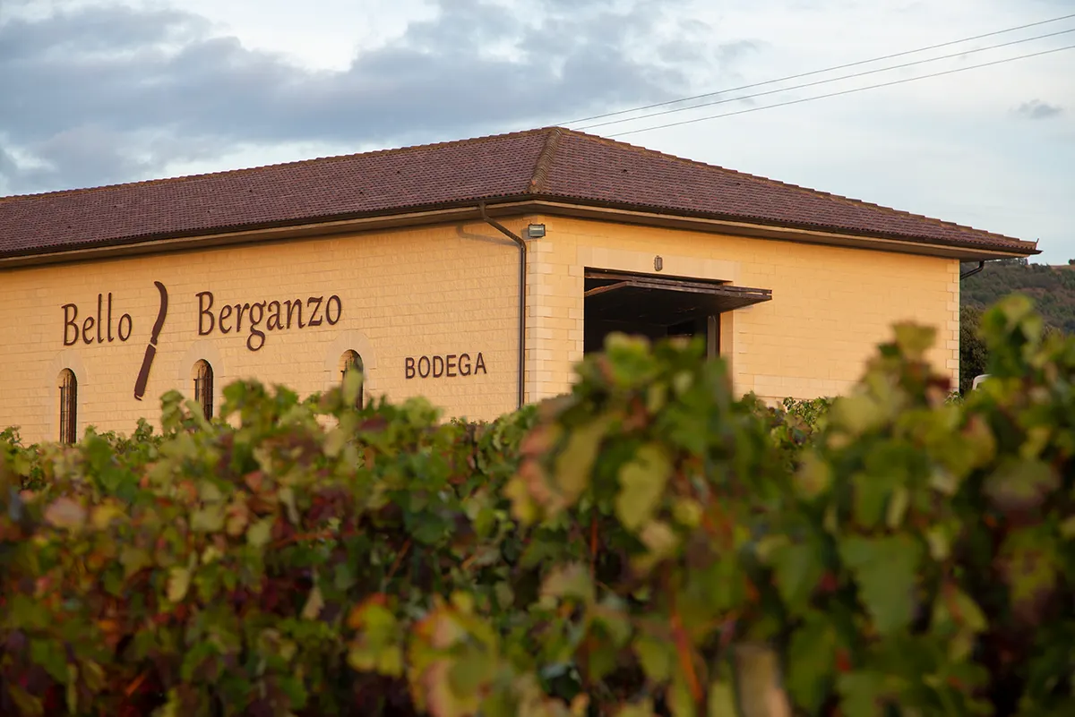 Bodega Bello Berganzo