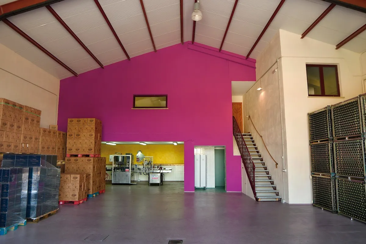 Bodegas Pascual Larrieta