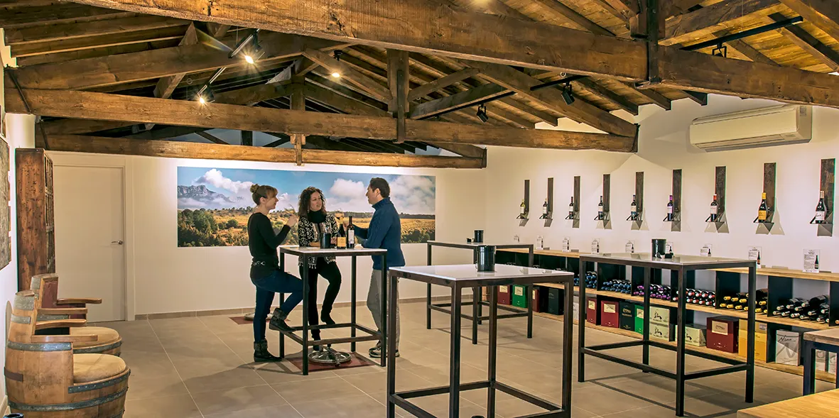 Viñedos y Bodegas de la Marquesa - Valserrano