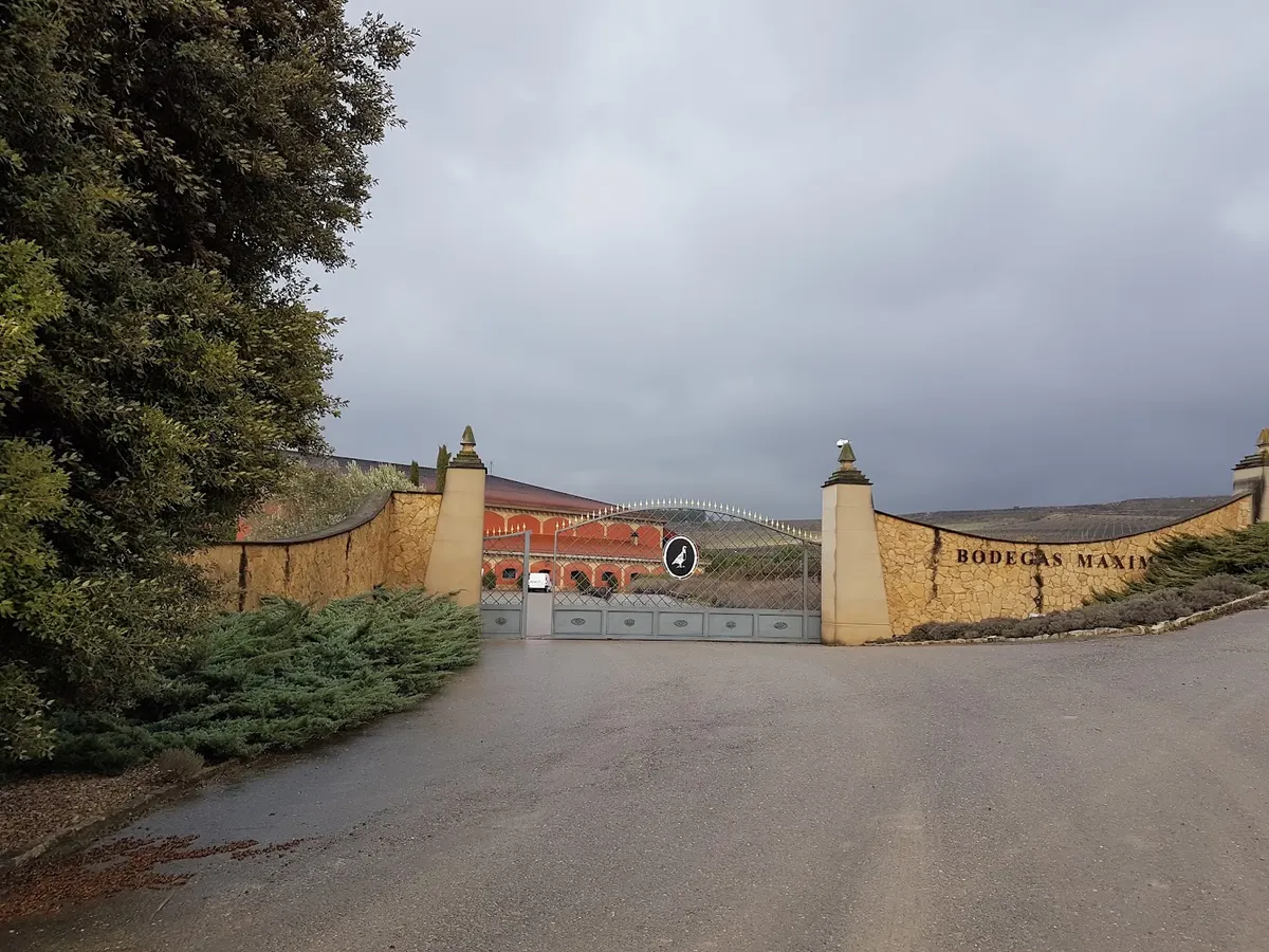 Bodegas Maximo