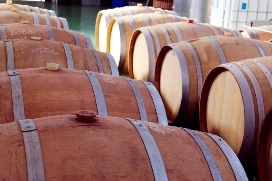 Aleph Winery