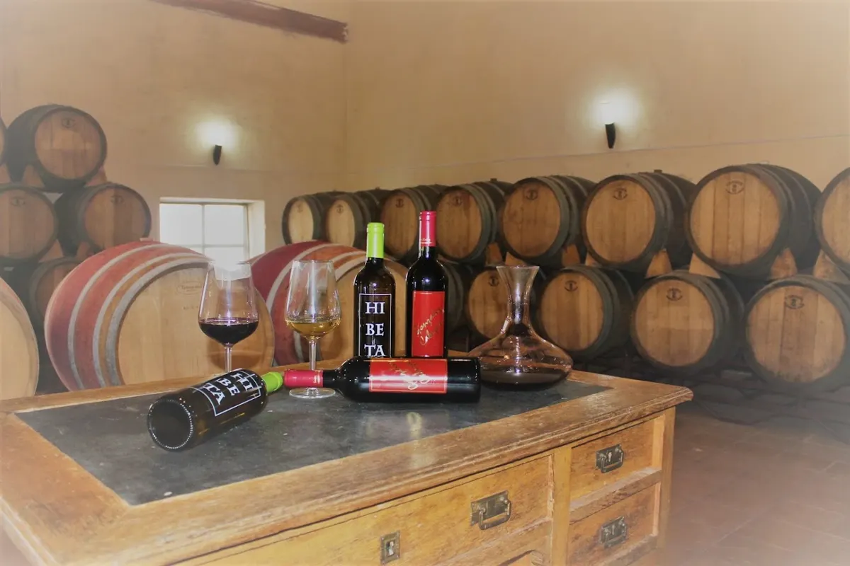 Bodegas González Cabezas
