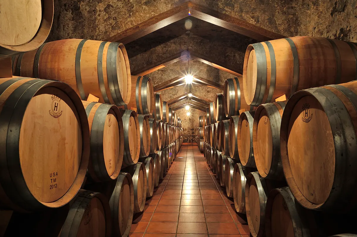 Bodegas Coop. Santiago Apóstol de Montealegre del Castillo - Montealegre del Castillo