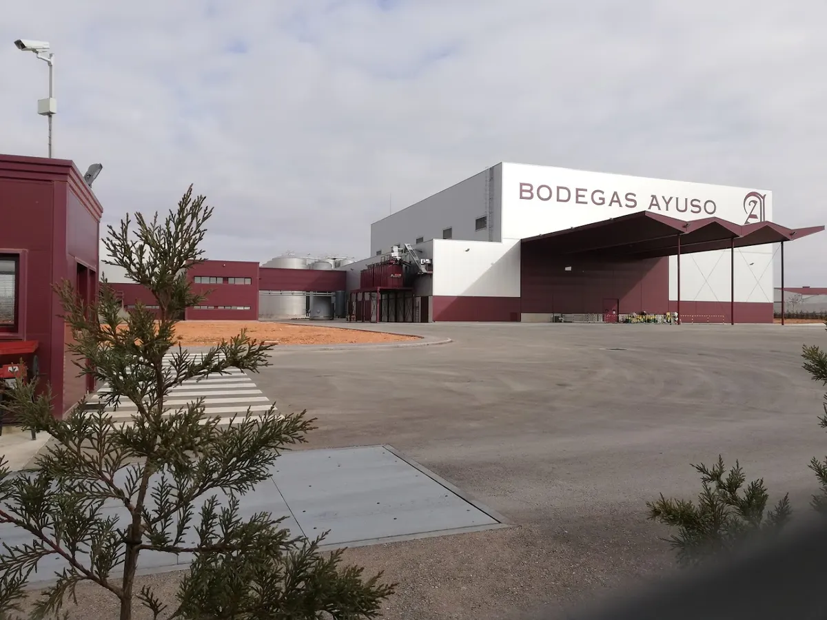Bodegas Ayuso