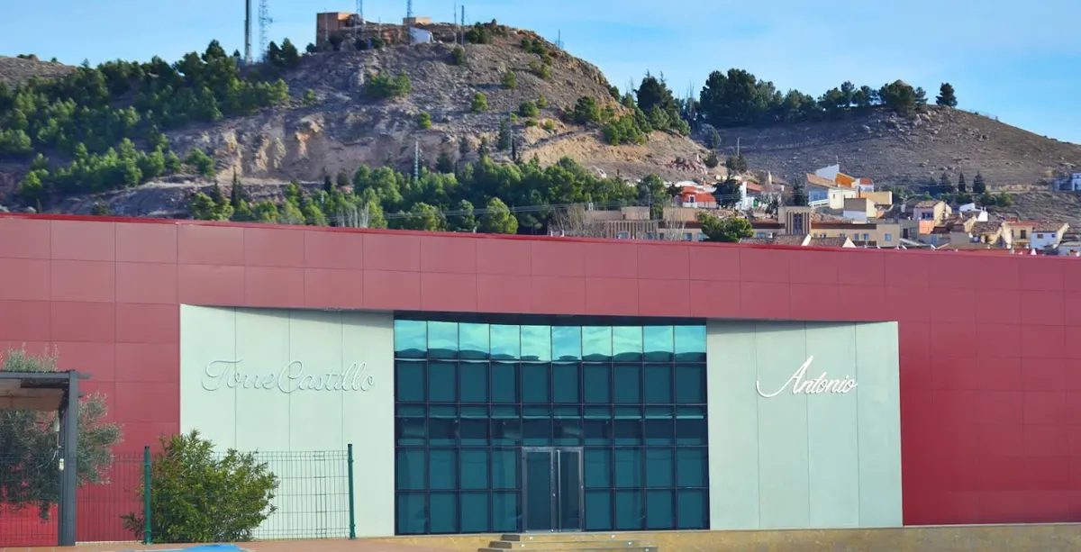 Bodegas Torrecastillo - Montealegre del Castillo