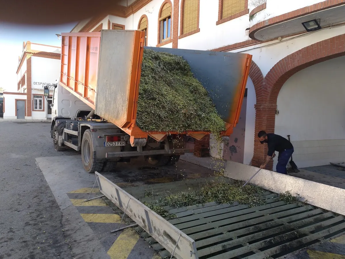 Cooperativa Del Campo San Isidro - Caudete