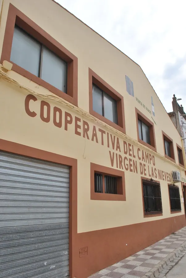 Cooperativa Virgen de las Nieves - Quintanar del Rey