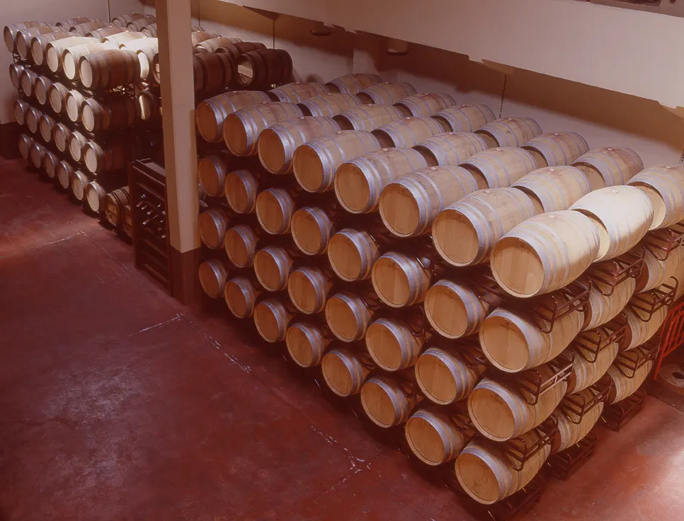 Cooperativa San Antonio Abad - Bodegas SaaC - Quintanar del Rey