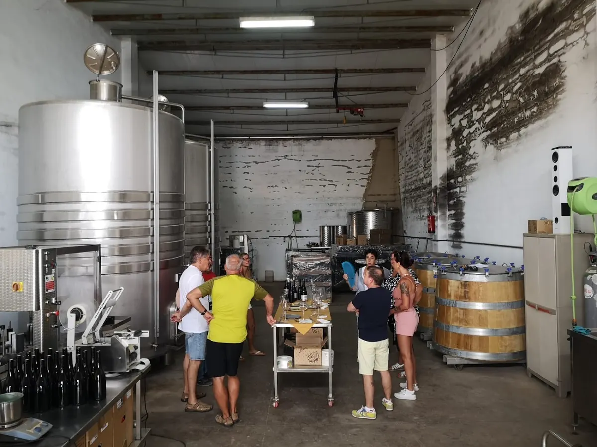 Bodega Vinos De La Cruz - Villarrobledo