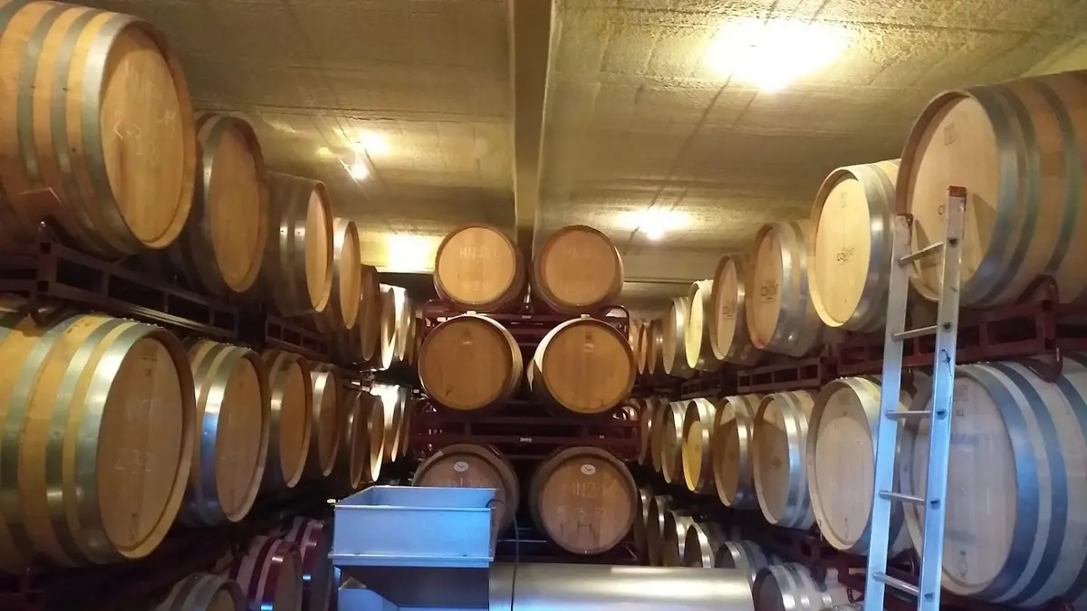 Vins del Comtat S.L. - Alcoy