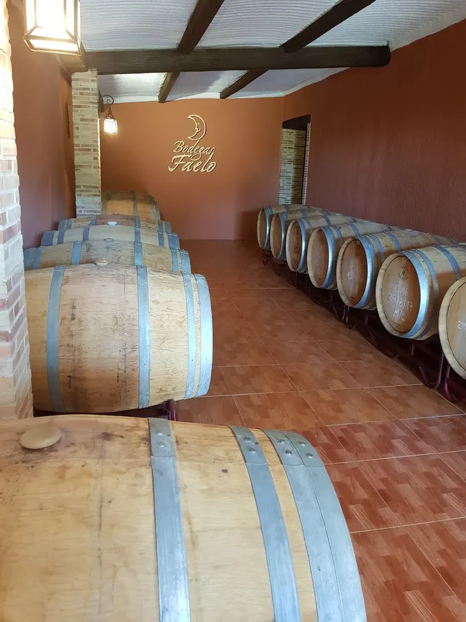 Bodegas Faelo - Enoturismo - Elche