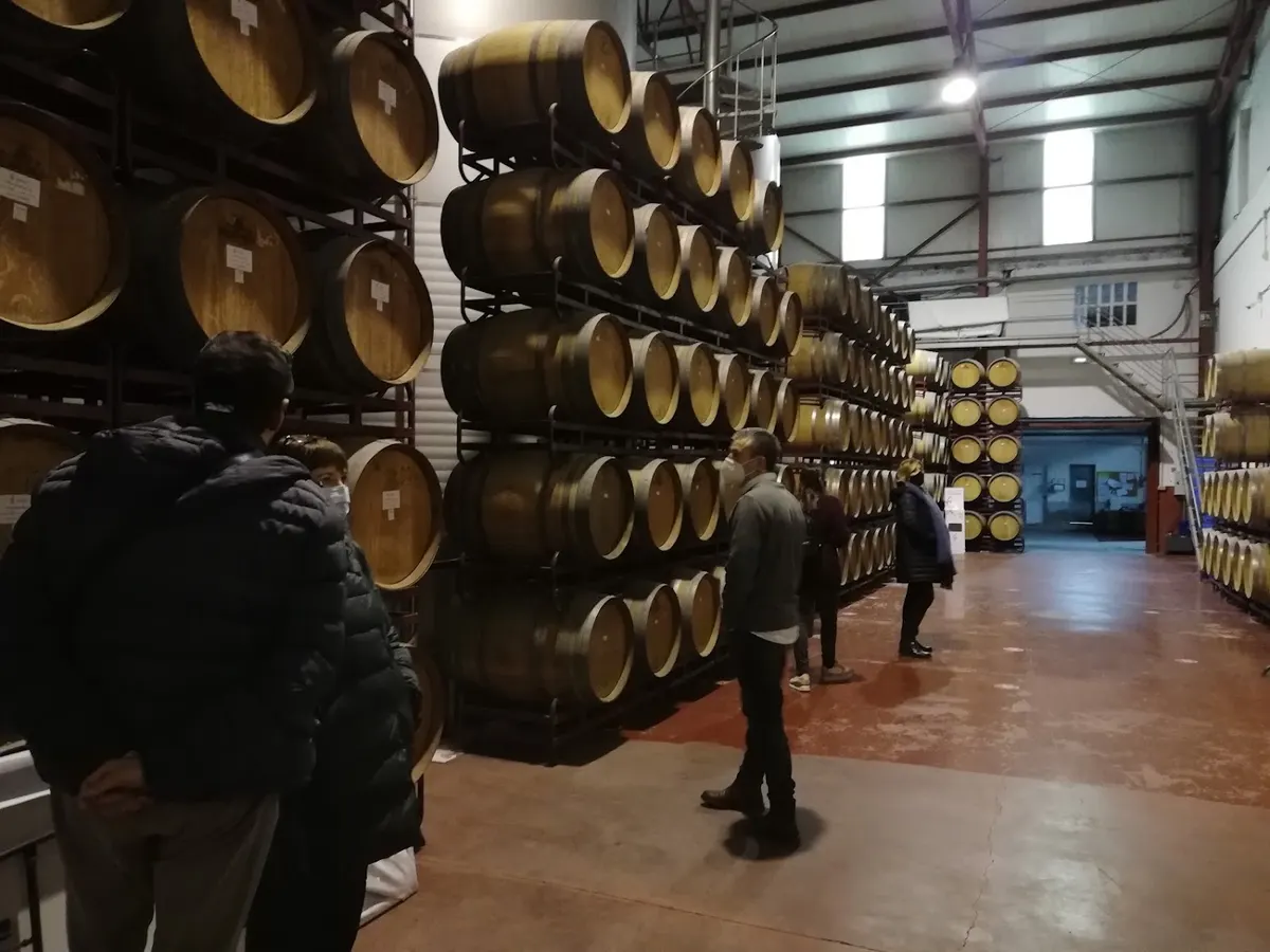 Tienda Bodega Santa Catalina del Maña - Elda