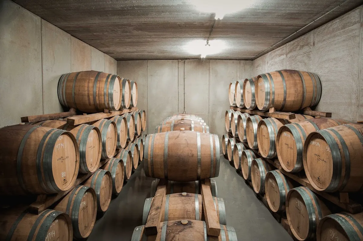 Bodega Finca Collado - Salinas