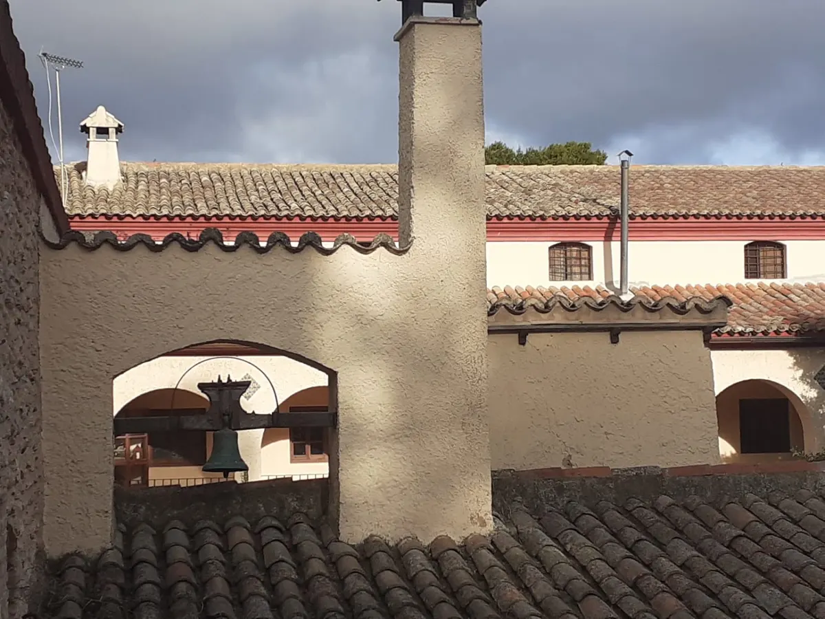 BODEGAS LOS PINOS SL
