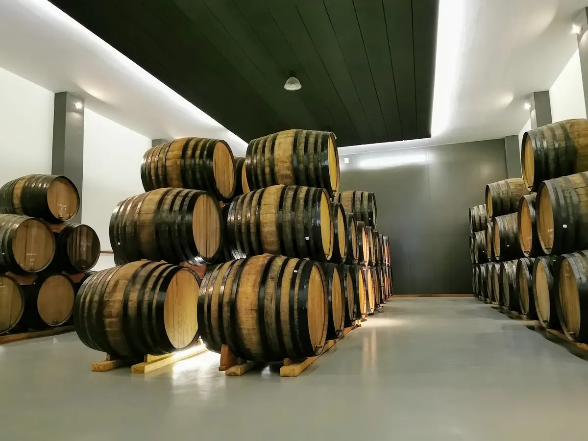 Bodegas Monóvar S.L.
