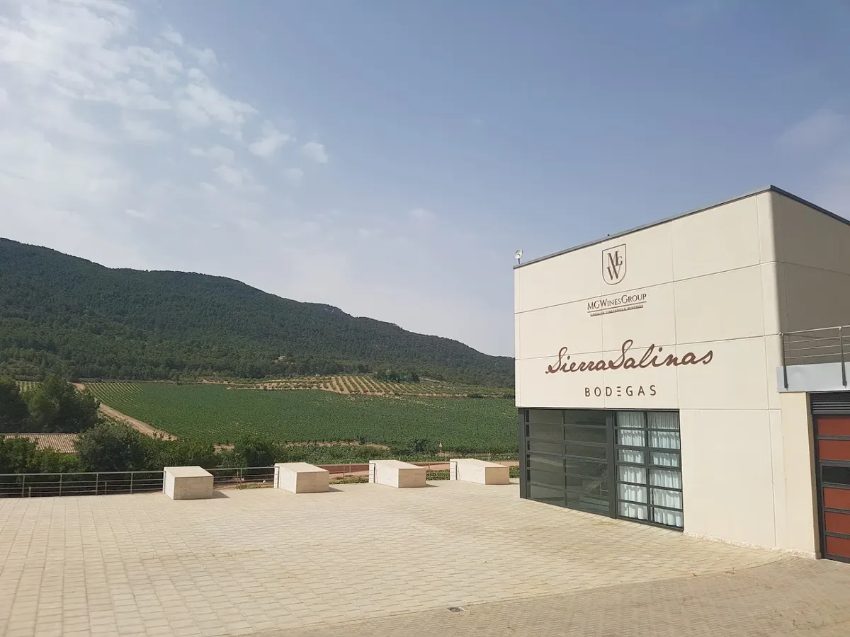 Bodegas Sierra Salinas - Villena