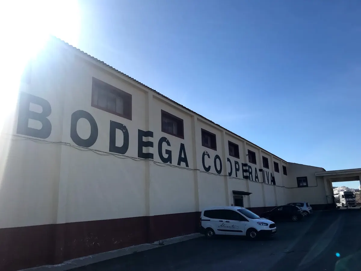 Bodega Coop. de La Romana - la Romana