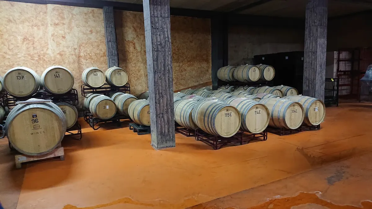 Bodegas Pinoso - Elda