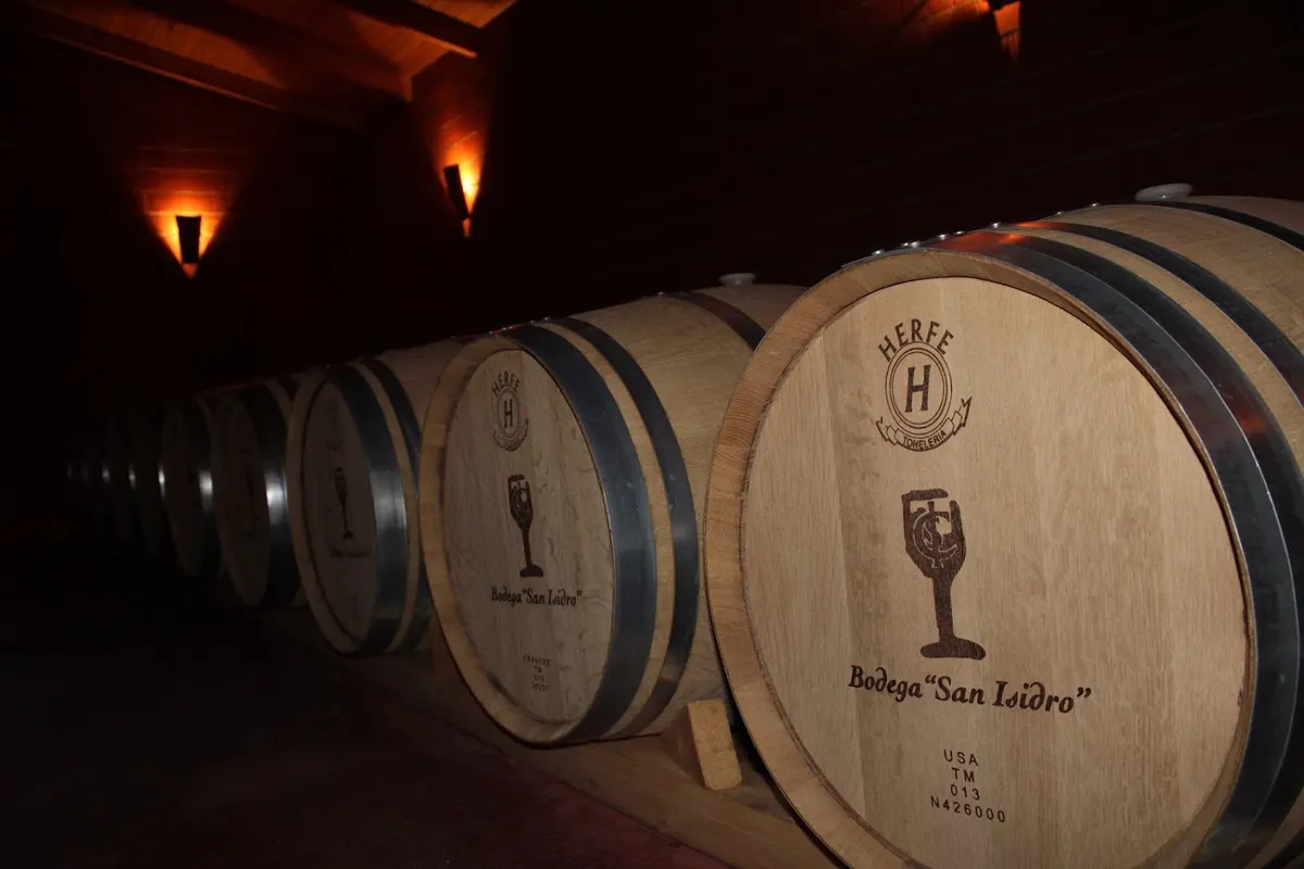 Bodega Cooperativa Vinícola Agraria San Isidro