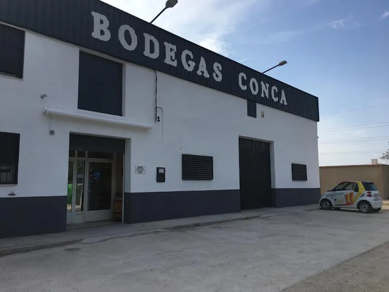 Finca El Chaconero (Bodegas E. Mendoza) - Viñedo en Villena - foto 2