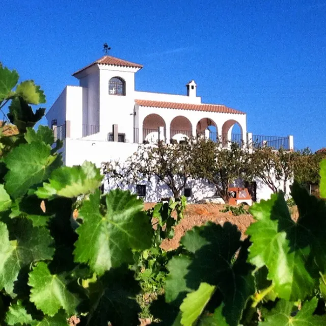 Bodegas Vilaplana - Caniles