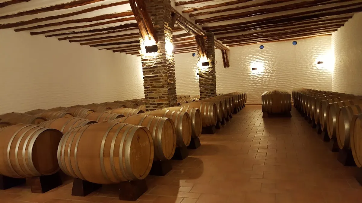 Bodega Mendez Moya - Vino ecológico, vegano y sin sulfitos añadidos - Valle del Zalabi