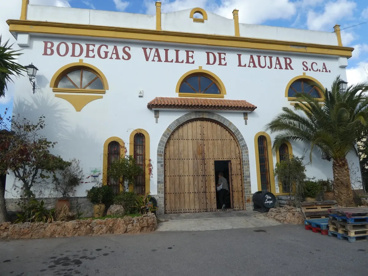 Bodegas Valle de Laujar - Berja