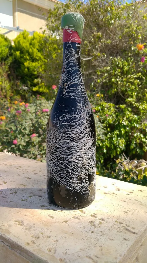 Bodegas Verónica SL | Bodega Submarina Águilas - Águilas