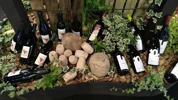 Bodega Vidas