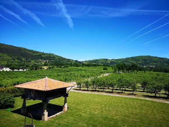 Llagares Valveran - Siero